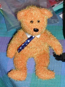 Orange Bear