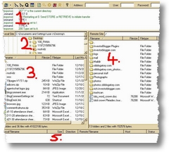 filezilla logon screen